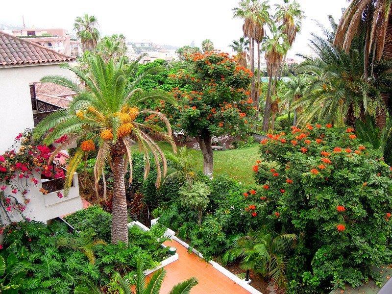 Parque San Antonio Ξενοδοχείο Πουέρτο Ντε Λα Κρουζ Εξωτερικό φωτογραφία